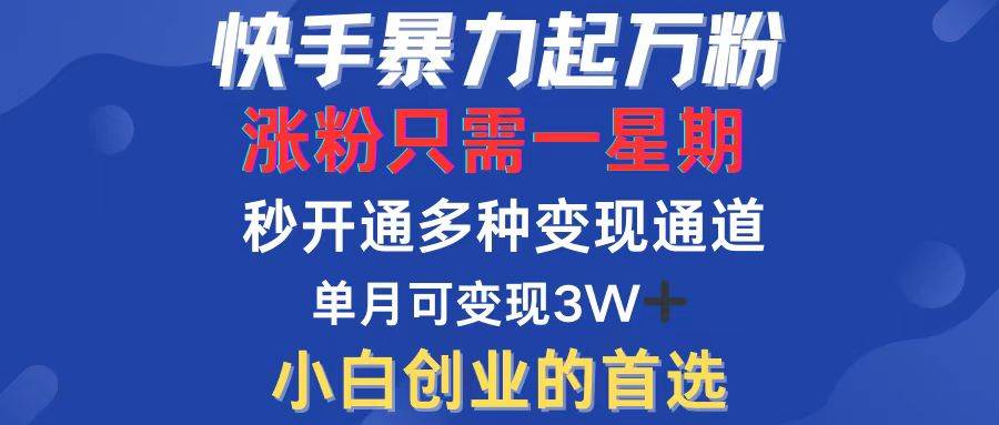 （12651期）快手暴力起万粉，涨粉只需一星期，多种变现模式，直接秒开万合，小白创…-旺仔资源库