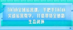TikTok全域运营课，手把手TikTok实战运营教学，打造带货全链路生态闭环-旺仔资源库