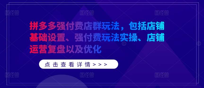 拼多多强付费店群玩法，包括店铺基础设置、强付费玩法实操、店铺运营复盘以及优化-旺仔资源库