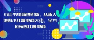 小红书电商进阶版,从新人进阶小红薯电商大佬,全方位玩透红薯电商-旺仔资源库