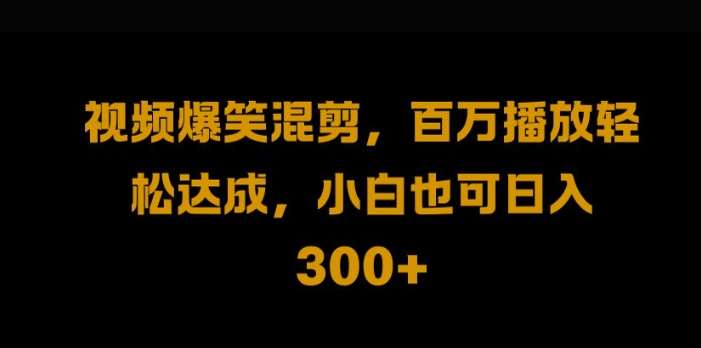 视频号零门槛，爆火视频搬运后二次剪辑，轻松达成日入1k【揭秘】-旺仔资源库