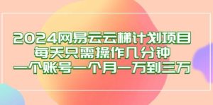 （12675期）2024网易云梯计划项目，每天只需操作几分钟 一个账号一个月一万到三万-旺仔资源库