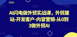 AI闪电做外贸实战课，​外贸建站-开发客户-内容营销-从0到3做外贸AI（更新）-旺仔资源库