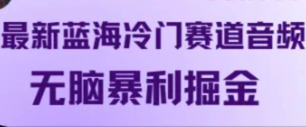 最新蓝海冷门赛道音频，无脑暴利掘金-旺仔资源库