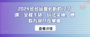 2024多多运营必听的12节课，全程干货，玩法实操，爆款方案尽在掌握-旺仔资源库