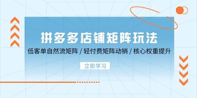 （12720期）拼多多店铺矩阵玩法：低客单自然流矩阵 / 轻付费矩阵 动销 / 核心权重提升-旺仔资源库