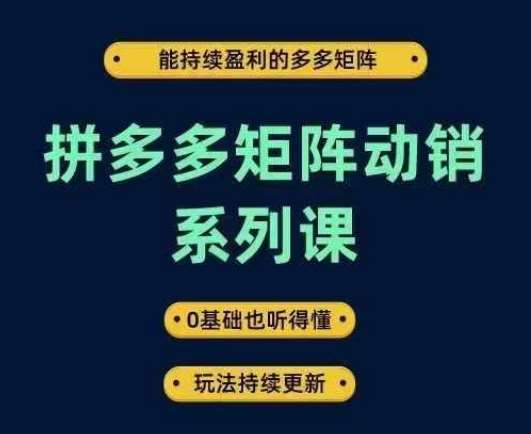 拼多多矩阵动销系列课，能持续盈利的多多矩阵，0基础也听得懂，玩法持续更新-旺仔资源库