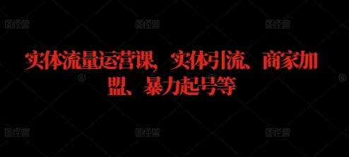 实体流量运营课，实体引流、商家加盟、暴力起号等-旺仔资源库