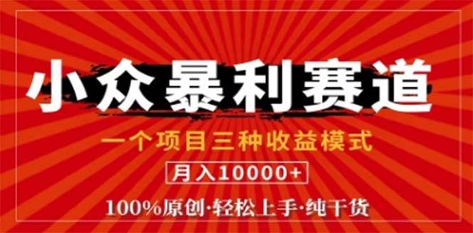 （12756期）视频号最新爆火赛道，三种可收益模式，0粉新号条条原创条条热门 日入1000+-旺仔资源库