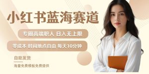 小红书蓝海赛道，圈中高端职场人，月入无上限，可矩阵，内含私域实操教程!-旺仔资源库