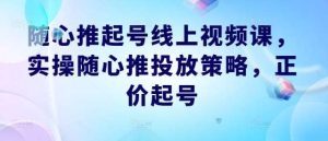 随心推起号线上视频课，实操随心推投放策略，正价起号-旺仔资源库