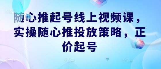 随心推起号线上视频课，实操随心推投放策略，正价起号-旺仔资源库