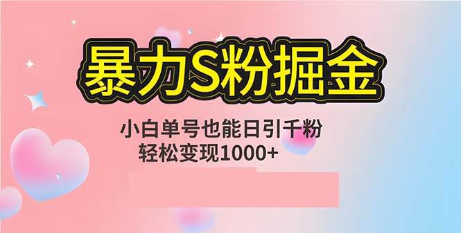 （12778期）单人单机日引千粉，变现1000+，S粉流量掘金计划攻略-旺仔资源库