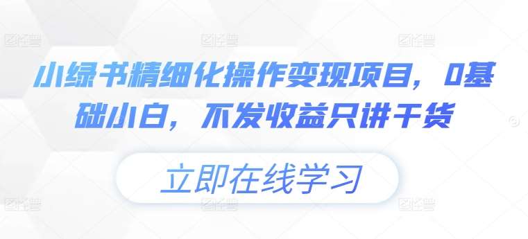 小绿书精细化操作变现项目，0基础小白，不发收益只讲干货-旺仔资源库