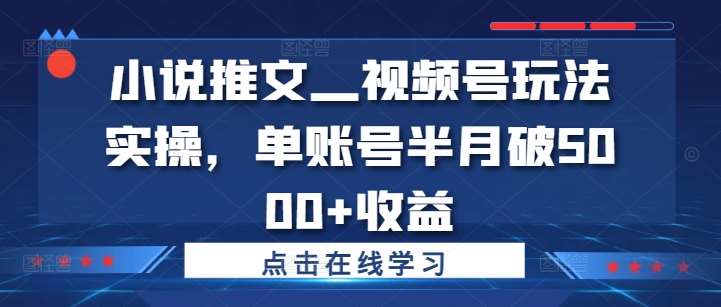 小说推文—视频号玩法实操，单账号半月破5000+收益-旺仔资源库