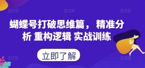 蝴蝶号打破思维篇， 精准分析 重构逻辑 实战训练-旺仔资源库
