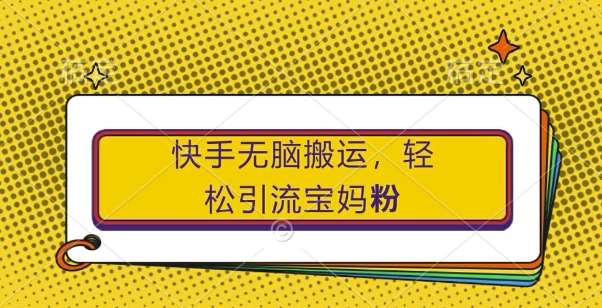 快手无脑搬运，轻松引流宝妈粉，纯小白轻松上手【揭秘】-旺仔资源库