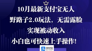 （12824期）10月最新支付宝无人野路子2.0玩法，无需露脸，实现被动收入，小白也可…-旺仔资源库
