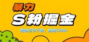 单人单机日引千粉，变现1k+，S粉流量掘金计划攻略【揭秘】-旺仔资源库