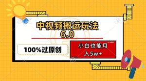 (12838期)中视频搬运玩法6.0,利用软件双重去重,100%过原创,小白也能月入5w+-旺仔资源库