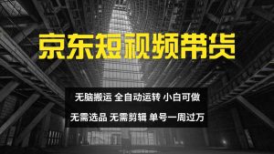 京东短视频达人带货，无脑搬运，无需选品，矩阵操作，单号一周过万-旺仔资源库