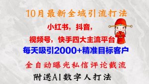 （12921期）10月最新小红书，抖音，视频号，快手四大平台全域引流，，每天吸引2000…-旺仔资源库