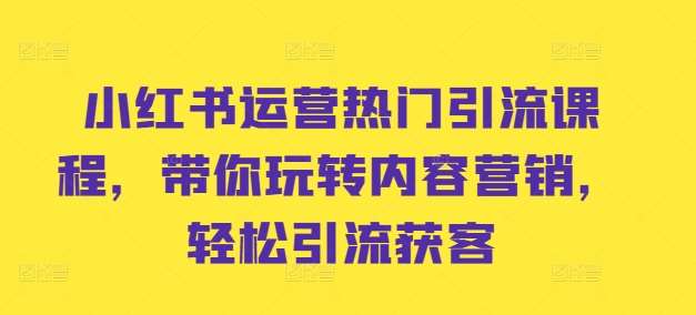 小红书运营热门引流课程，带你玩转内容营销，轻松引流获客-旺仔资源库