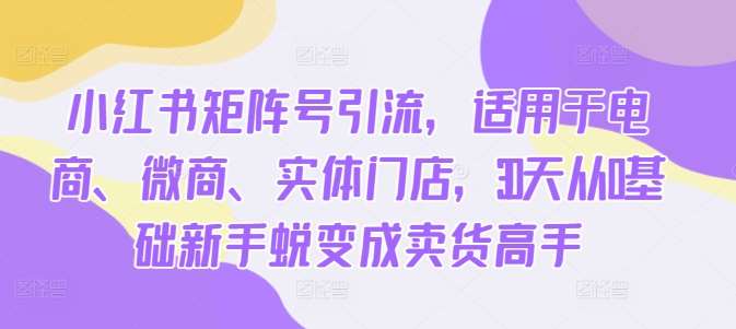 小红书矩阵号引流，适用于电商、微商、实体门店，30天从0基础新手蜕变成卖货高手-旺仔资源库