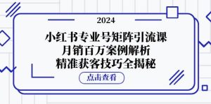 小红书专业号矩阵引流课，月销百万案例解析，精准获客技巧全揭秘-旺仔资源库