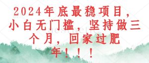 （12970期）2024年底最稳项目，小白无门槛，坚持做三个月，回家过肥年！！！-旺仔资源库