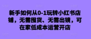 新手如何从0-1玩转小红书店铺，无需囤货、无需出镜，可在家低成本运营开店-旺仔资源库
