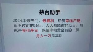 （12990期）魔法贵州茅台代理，永不淘汰的项目，抛开传统玩法，使用科技，命中率极…-旺仔资源库