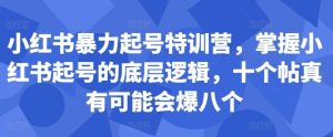小红书暴力起号特训营，掌握小红书起号的底层逻辑，十个帖真有可能会爆八个-旺仔资源库