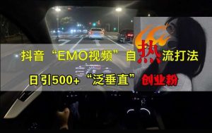 抖音EMO视频自热打法,日引500+“泛垂直”创业粉-旺仔资源库