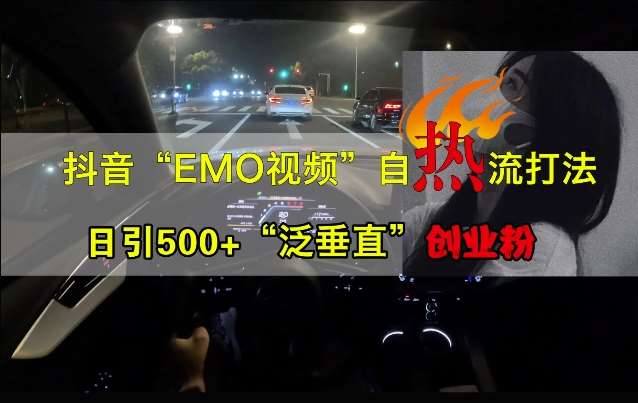 抖音EMO视频自热打法，日引500+“泛垂直”创业粉-旺仔资源库