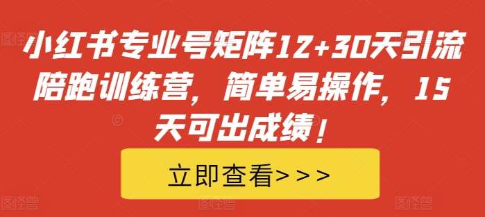 小红书专业号矩阵12+30天引流陪跑训练营，简单易操作，15天可出成绩!-旺仔资源库