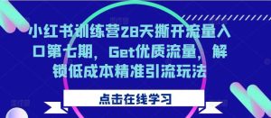 小红书训练营28天撕开流量入口第七期，Get优质流量，解锁低成本精准引流玩法-旺仔资源库