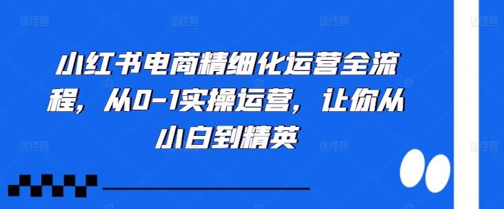 小红书电商精细化运营全流程，从0-1实操运营，让你从小白到精英-旺仔资源库