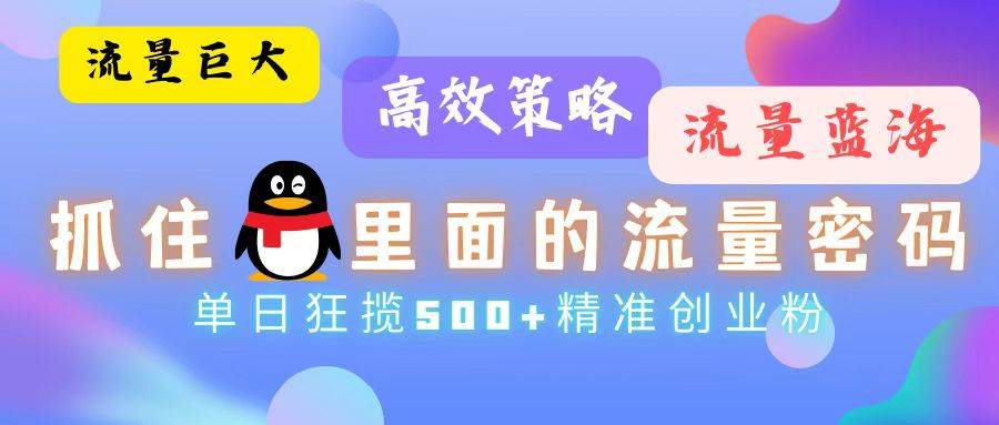 （13068期）流量蓝海，抓住QQ里面的流量密码！高效策略，单日狂揽500+精准创业粉-旺仔资源库