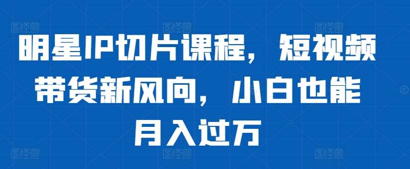 明星IP切片课程，短视频带货新风向，小白也能月入过万-旺仔资源库