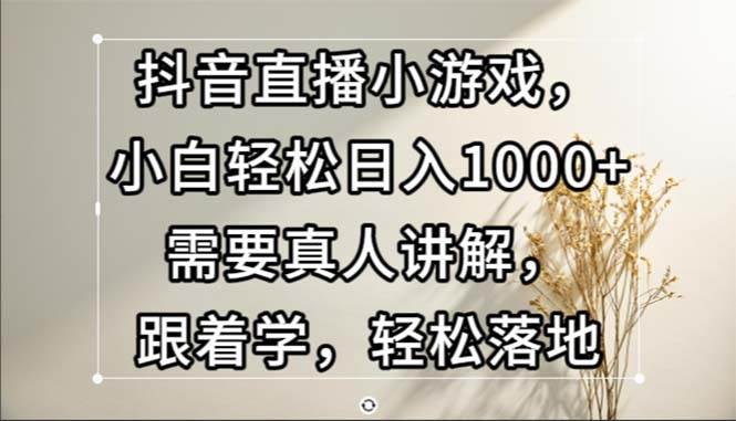 （13075期）抖音直播小游戏，小白轻松日入1000+需要真人讲解，跟着学，轻松落地-旺仔资源库