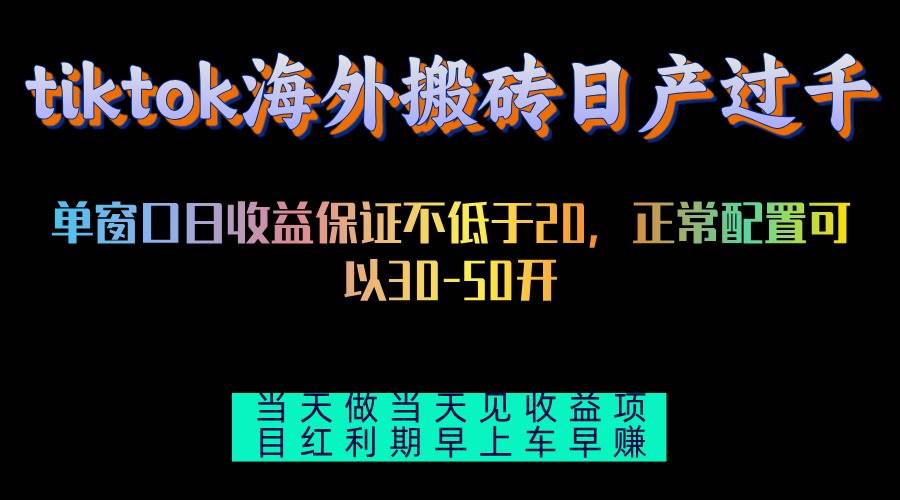 （13079期）tiktok海外搬砖项目单机日产过千当天做当天见收益-旺仔资源库