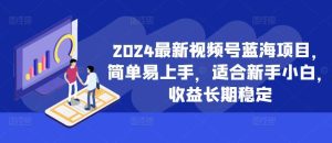 2024最新视频号蓝海项目，简单易上手，适合新手小白，收益长期稳定-旺仔资源库