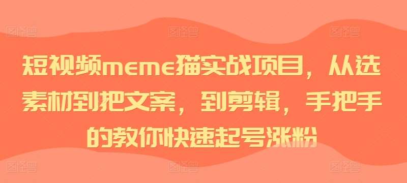 短视频meme猫实战项目，从选素材到把文案，到剪辑，手把手的教你快速起号涨粉-旺仔资源库