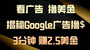 （13114期）看广告，撸美金！3分钟赚2.5美金！日入200美金不是梦！揭秘Google广告…-旺仔资源库