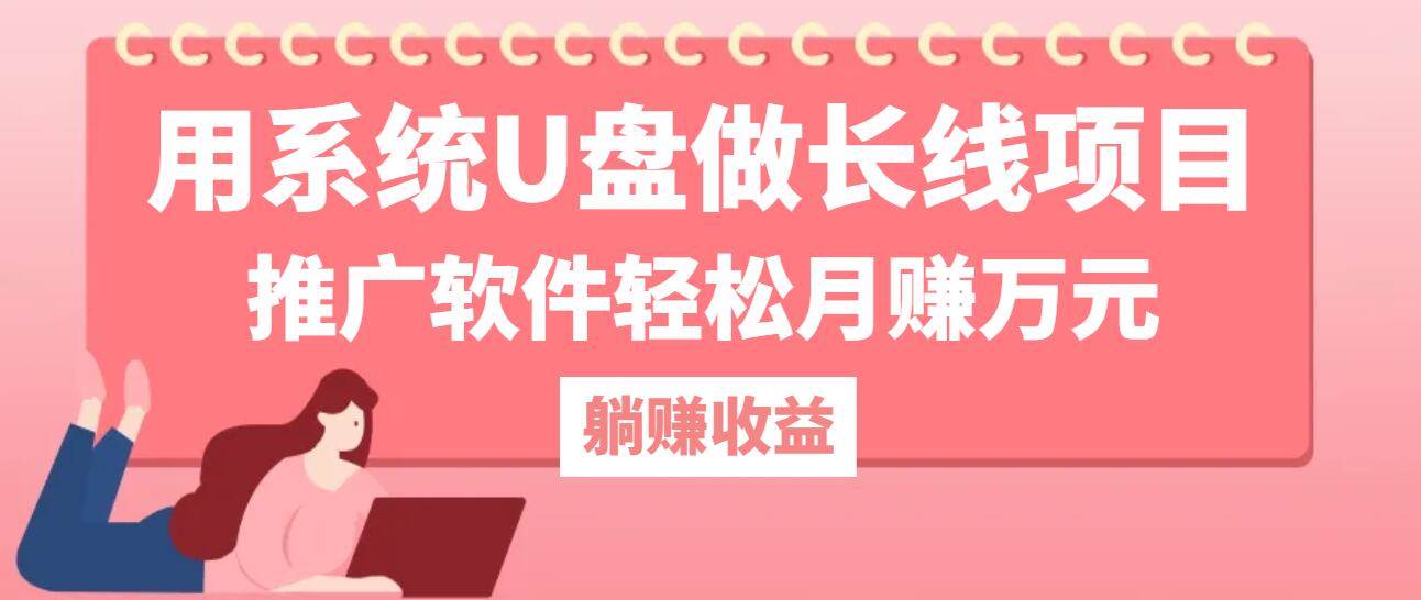 用系统U盘做长线项目，推广软件轻松月赚万元-旺仔资源库