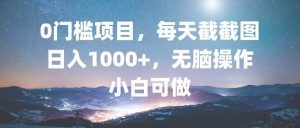 （13160期）0门槛项目，每天截截图，日入1000+，轻松无脑，小白可做-旺仔资源库