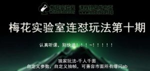 梅花实验室社群专享课视频号连怼玩法第十期课程+第二部分-FF助手全新高自由万能爆闪AB处理-旺仔资源库