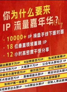 群响IP流量嘉年华，​现场视频+IP江湖2024典藏版PPT-旺仔资源库