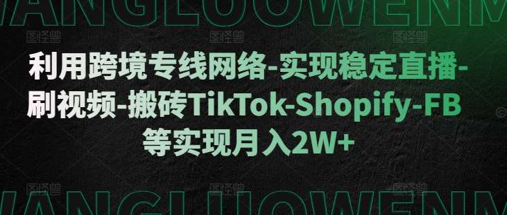 利用跨境专线网络-实现稳定直播-刷视频-搬砖TikTok-Shopify-FB等实现月入2W+【揭秘】-旺仔资源库